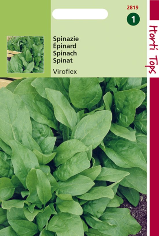 Spinach Winter Giants Viroflex (Spinacia oleracea) 1125 seeds HT